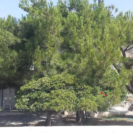 Nikolas House Koutsounari